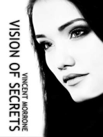Vision of Secrets: The Vision Series