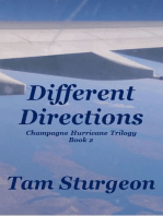 Different Directions: The Champagne Hurricane Trilogy - Book 2