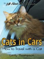 Cats in Cars: How to Travel with a Cat