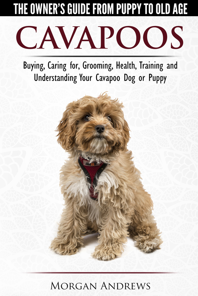 Cavapoos: The Owner's Guide From Puppy To Old Age - Buying, Caring for ...