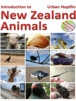 Introduction to New Zealand animals