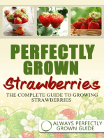 Perfectly Grown Strawberries: the complete guide to growing strawberries