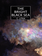The Bright Black Sea