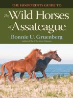 The Hoofprints Guide to the Wild Horses of Assateague