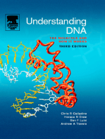 Understanding DNA: The Molecule and How it Works