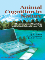 Animal Cognition in Nature