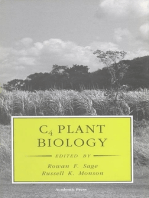 C4 Plant Biology