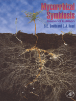 Mycorrhizal Symbiosis