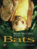 Reproductive Biology of Bats
