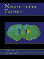 Neurotrophic Factors