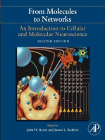 From Molecules to Networks: An Introduction to Cellular and Molecular Neuroscience