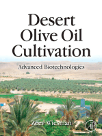 Desert Olive Oil Cultivation: Advanced Bio Technologies