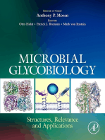 Microbial Glycobiology: Structures, Relevance and Applications