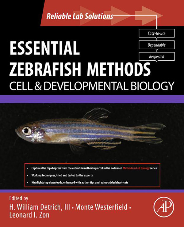 literature review zebrafish