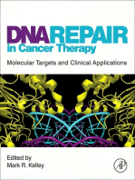 DNA Repair in Cancer Therapy: Molecular Targets and Clinical Applications