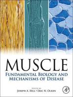 Muscle 2-Volume Set: Fundamental Biology and Mechanisms of Disease