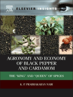 Agronomy and Economy of Black Pepper and Cardamom: The “King and “Queen of Spices