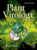 Plant Virology