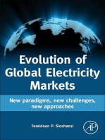 Evolution of Global Electricity Markets: New paradigms, new challenges, new approaches