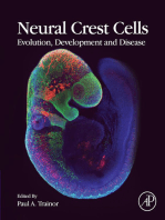 Neural Crest Cells: Evolution, Development and Disease