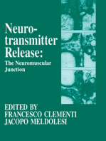 Neurotransmitter Release the Neuromuscular Junction