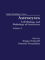 Astrocytes Pt 3: Biochemistry, Physiology, and Pharmacology of Astrocytes