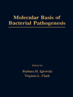 Molecular Basis of Bacterial Pathogenesis