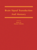 Brain Signal Transduction and Memory