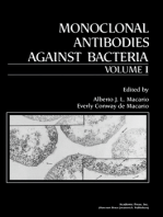 Monoclonal Antibodies against Bacteria