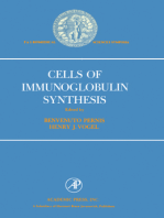 Cell of Immunoglobulin Synthesis