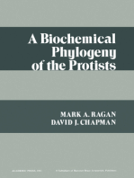 A Biochemical Phylogeny of the Protists