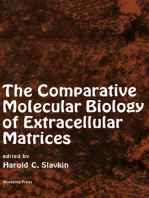 The Comparative Molecular Biology of Extracellular Matrices