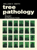 Tree Pathology: A Short Introduction