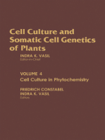 Cell Culture in Phytochemistry