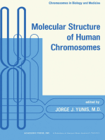 Molecular Structure of Human Chromosomes