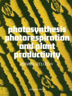 Photosynthesis, Photorespiration, And Plant Productivity