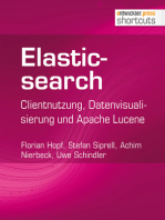 Elasticsearch: Clientnutzung, Datenvisualisierung und Apache Lucene
