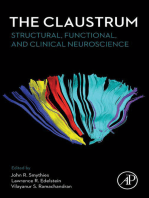 The Claustrum: Structural, Functional, and Clinical Neuroscience