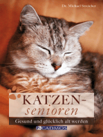 Katzensenioren: Gesund und glücklich alt werden
