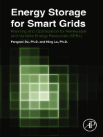 Energy Storage for Smart Grids: Planning and Operation for Renewable and Variable Energy Resources (VERs)