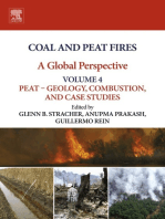 Coal and Peat Fires: A Global Perspective: Volume 4: Peat – Geology, Combustion, and Case Studies