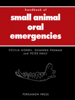 Handbook of Small Animal Oral Emergencies