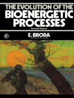 The Evolution of the Bioenergetic Processes