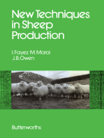 New Techniques in Sheep Production