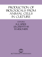 Production of Biologicals from Animal Cells in Culture