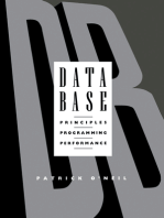 Database: Principles Programming Performance