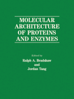 Molecular Architecture of Proteins and Enzymes