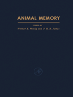 Animal Memory