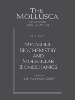 Mollusca: Metabolic Biochemistry and Molecular Biomechanics