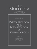 Paleontology and Neontology of Cephalopods